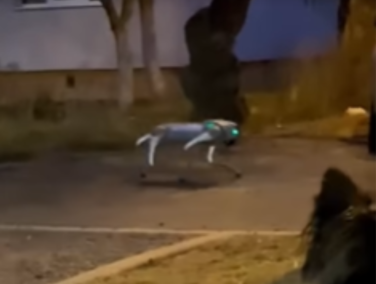 caine-robot,-folosit-de-o-familie-din-cluj-napoca-pe-post-de-animal-de-companie-(video)