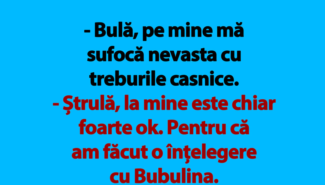 banc-|-bula-si-treburile-casnice