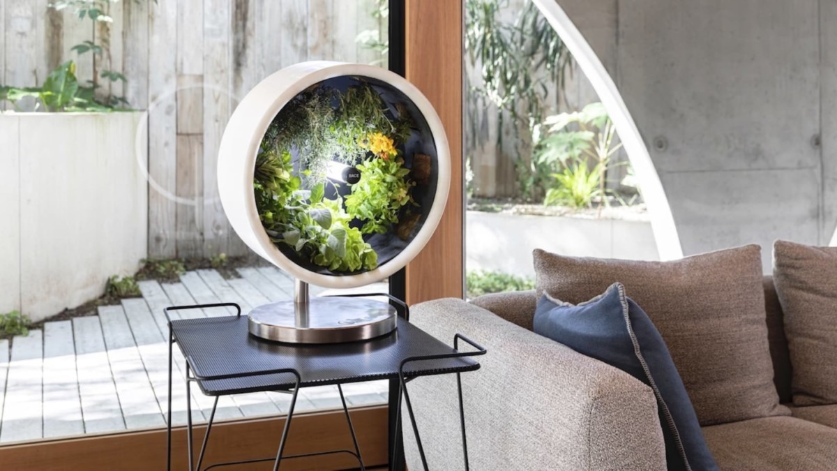 o-idee-din-science-fiction-devine-realitate:-plantele-care-nu-au-nevoie-de-lumina