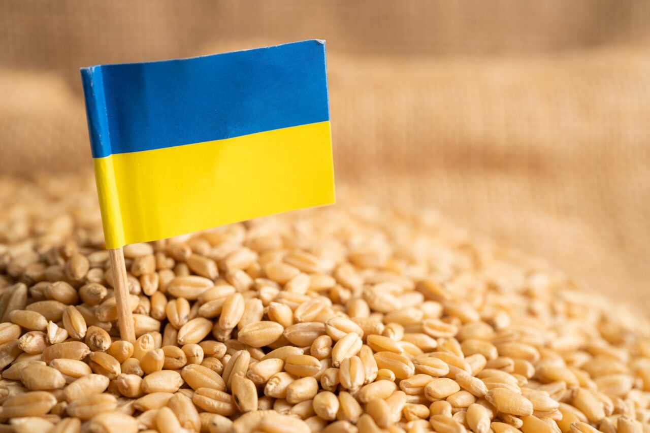 uniunea-europeana-majoreaza-cotele-de-import-pentru-anumite-produse-agricole-din-ucraina