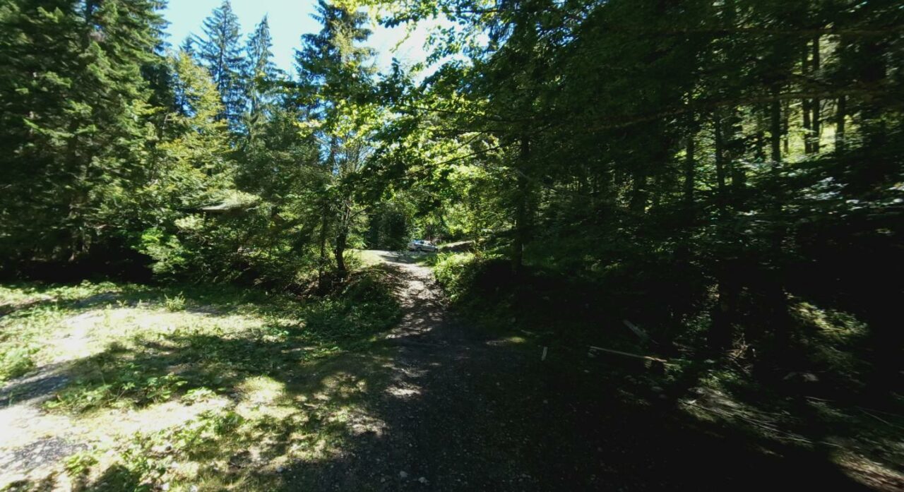 locul-din-bucovina-intesat-de-turisti-pe-timp-de-vara.-oaza-de-racoare-preferata-si-de-straini