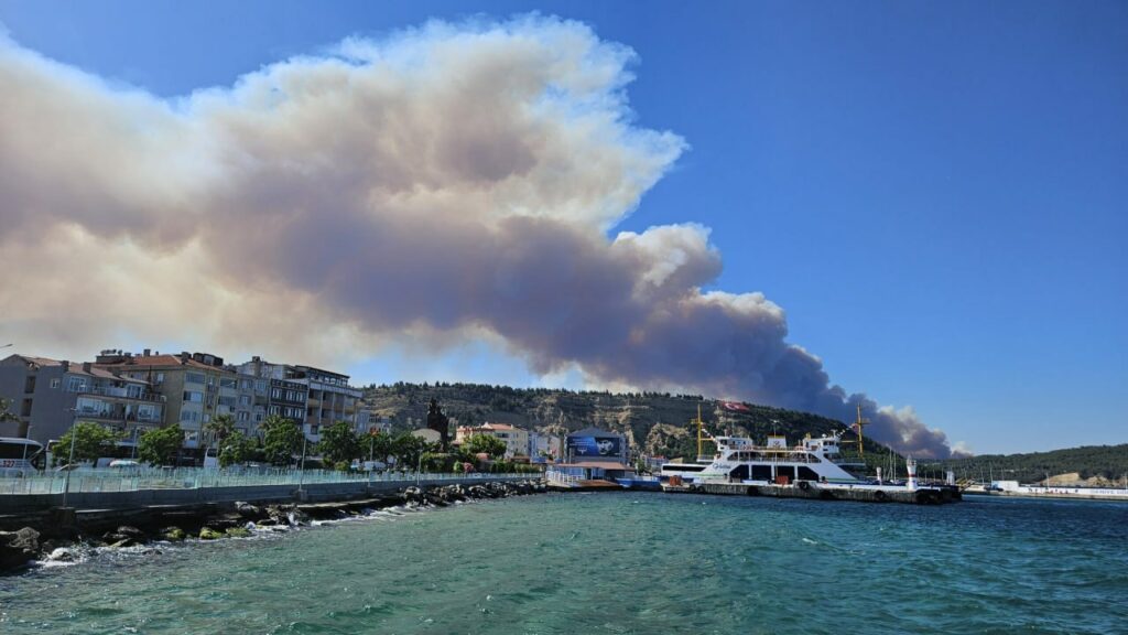 incendii-majore-de-vegetatie-in-turcia:-traficul-maritim,-inchis-in-stamtoarea-dardanele
