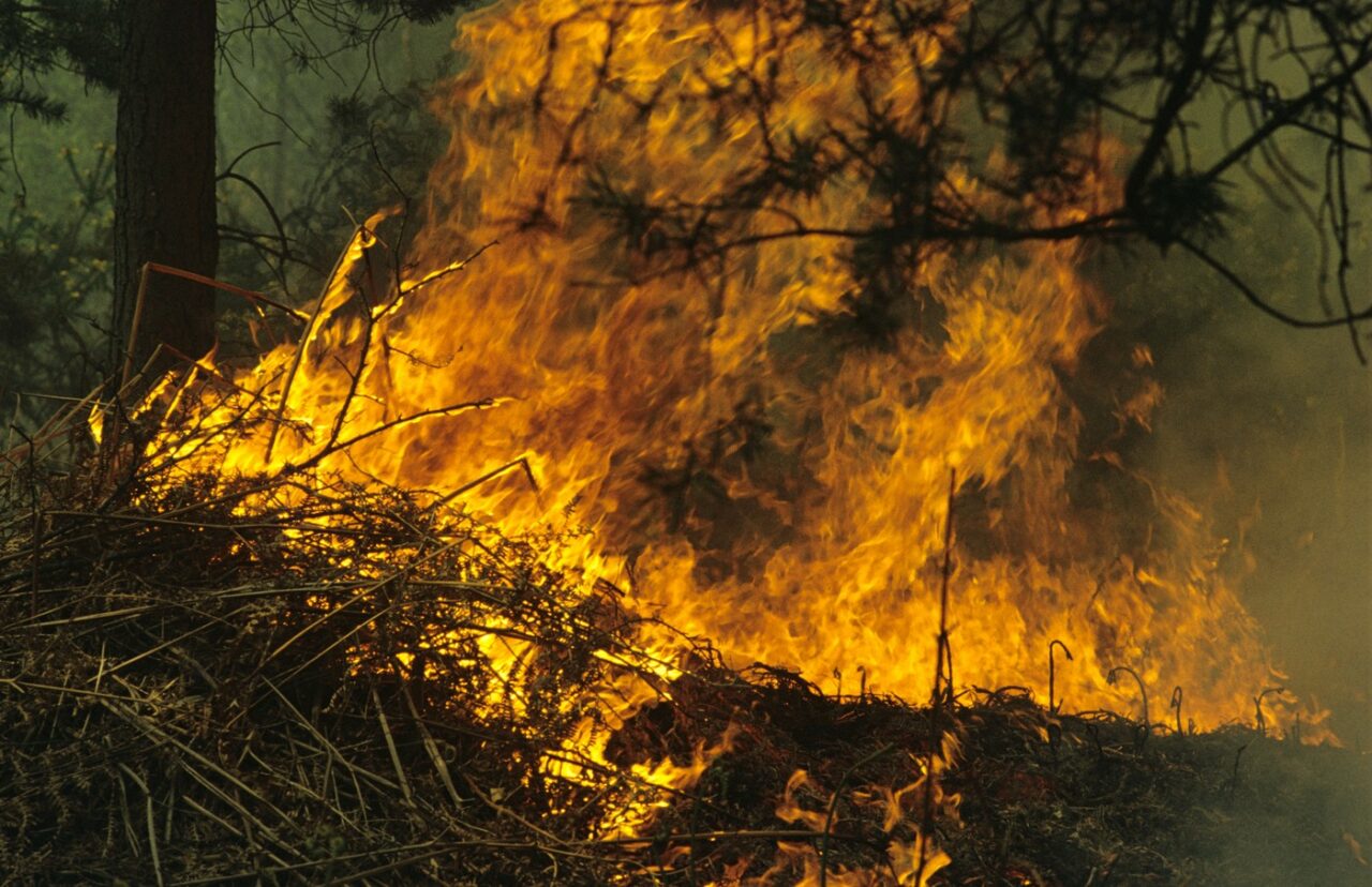 incendiu-de-vegetatie-uscata-la-granita-judetelor-ilfov-si-giurgiu.-pompierii-intervin-de-urgenta