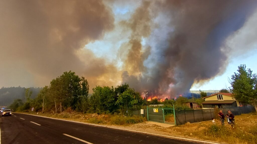 raport-omm:-incendiile-de-vegetatie-alimenteaza-poluarea-aerului