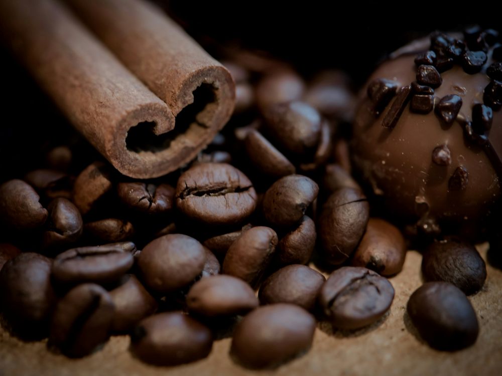 ecuador-pregateste-o-miscare-majora-pentru-exporturile-de-cacao-si-cafea-catre-europa