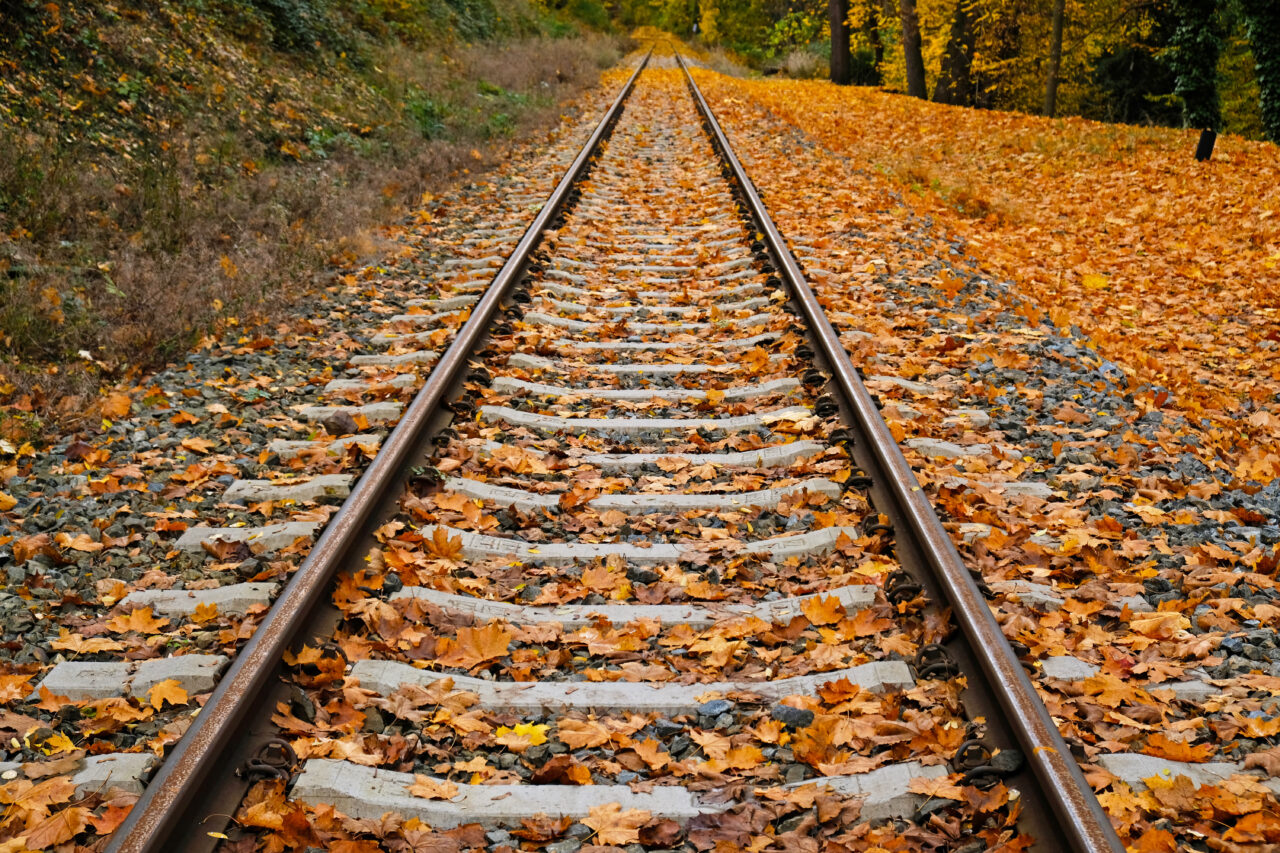 tragedie-in-iasi.-o-femeie-a-murit,-dupa-ce-a-fost-lovita-de-tren,-in-apropierea-garii-ruginoasa