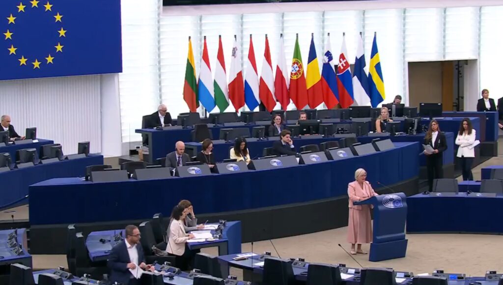 ue-propune-patru-proiecte-pentru-apararea-granitei-de-est