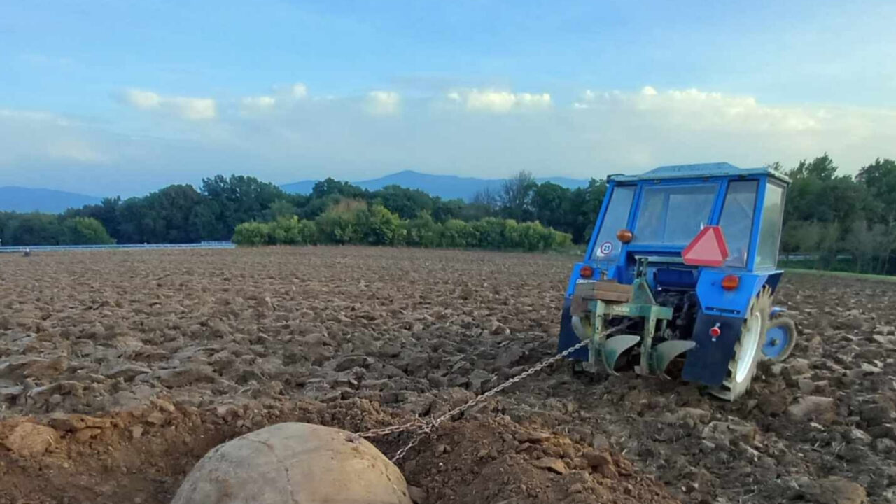 fermierii-renunta-la-o-cultura-esentiala-pentru-romania.-promisiunile-ministerului-agriculturii
