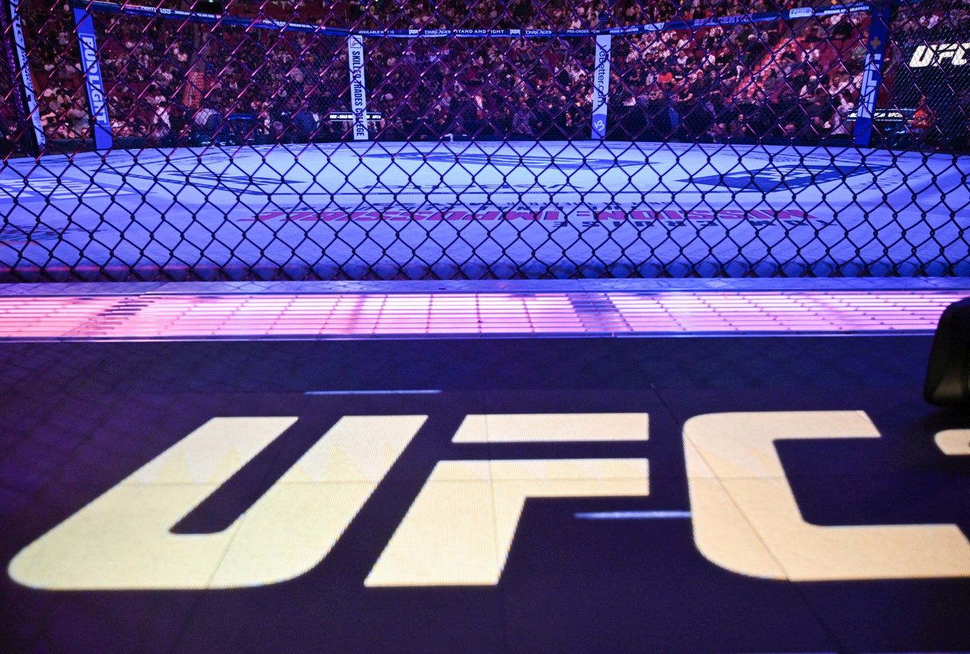 ce-a-patit-cea-mai-sexy-luptatoare-ufc.-a-aparut-plina-de-vanatai