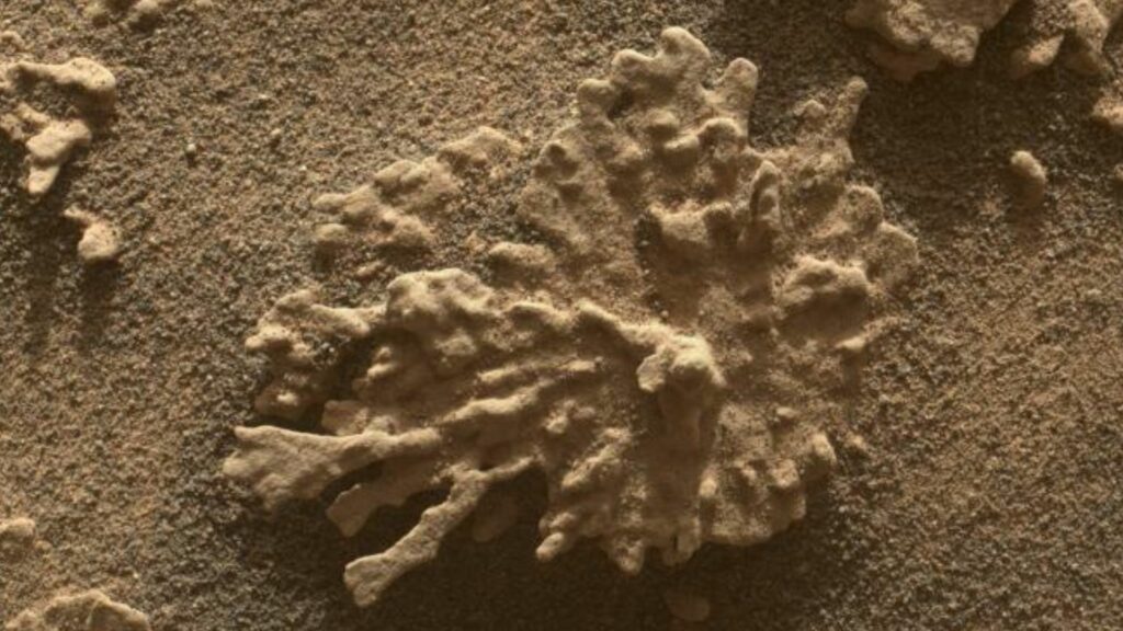 nasa-sustine-ca-a-descoperit-pe-marte-un-vizitator-din-afara-sistemului-nostru-solar
