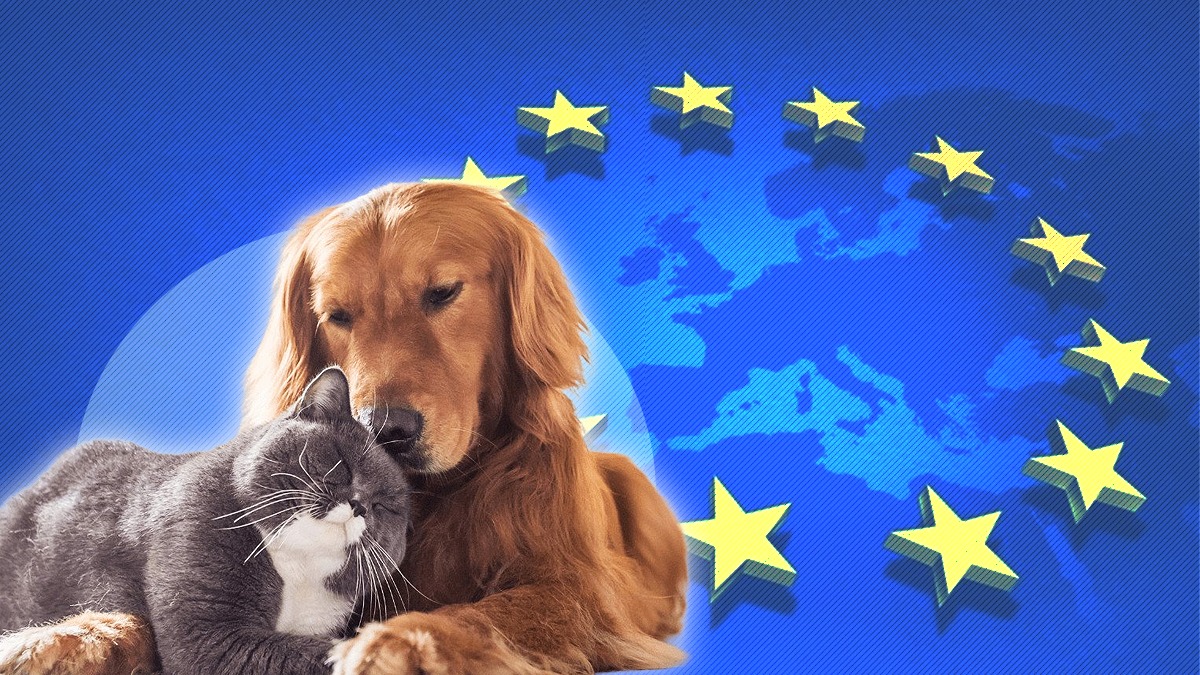 uniunea-europeana-impune-reguli-noi-pentru-proprietarii-animalelor-de-companie