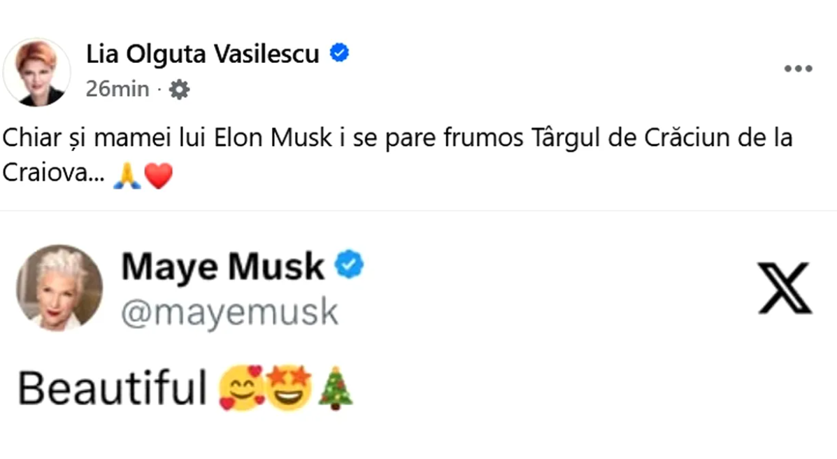 mama-lui-elon-musk-a-reactionat-la-o-postare-cu-targul-de-craciun-din-craiova:-frumos