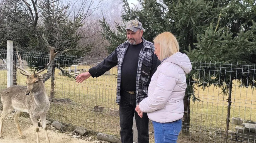gradina-zoo-in-cap.-un-brasovean-a-transformat-o-ruina-intr-o-atractie-turistica-completa