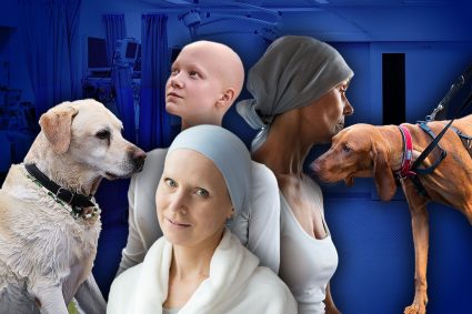 cainii-pot-mirosi-cancerul-clipul-care-a-impresionat-o-lume-intreaga:-max-este-cainele-care-si-a-salvat-stapana:-„si-a-pus-nasul-pe-pieptul-meu-pentru-a-verifica-locul-unde-fusese-operat.