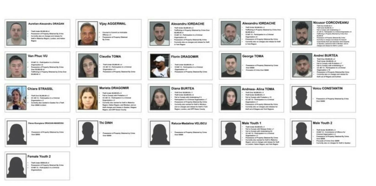 o-familie-infractionala-preponderent-romana-a-fost-destructurata-in-canada.-ce-vanau-pradatorii