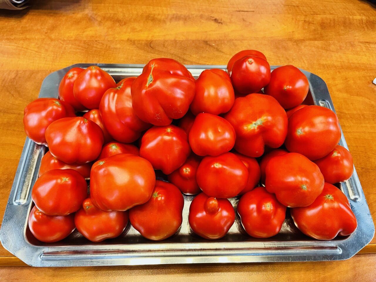 cand-este-bine-sa-stropim-rosiile-cu-lapte.-trucul-natural-folosit-de-gradinarii-cu-experienta