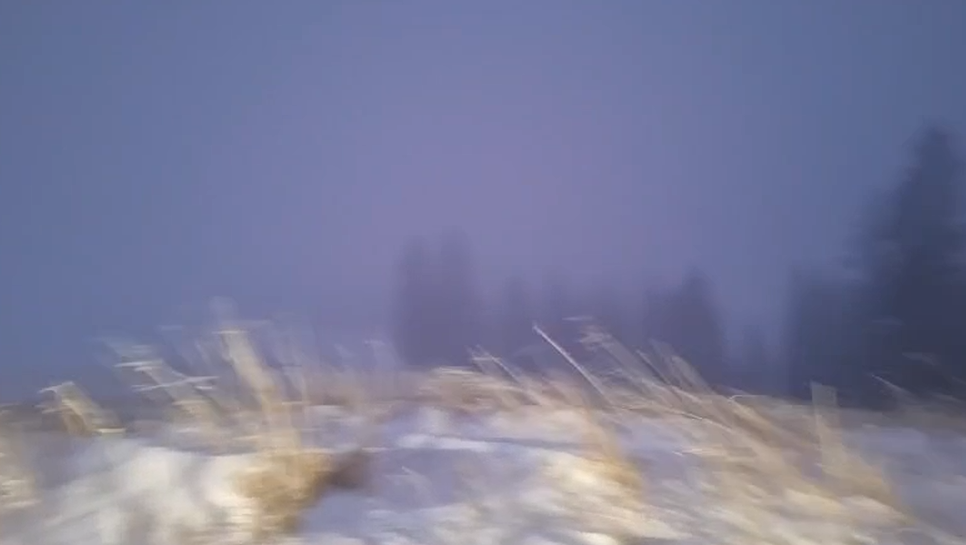 avertizare-cod-portocaliu-de-ninsoare-in-romania.-zona-unde-zapada-viscolita-poate-depasi-chiar-si-50-cm