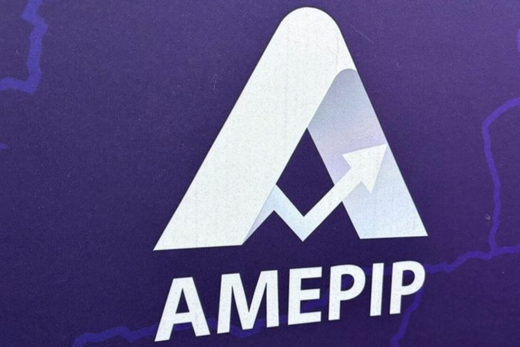 amepip-incepe-controale-fulger-la-peste-800-de-companii-de-stat