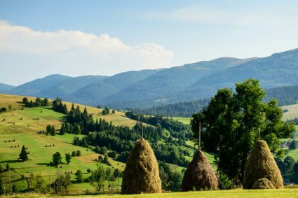turismul-romanesc-incheie-un-an-pe-minus.-salvarea-operatorilor-vine-tot-din-occident