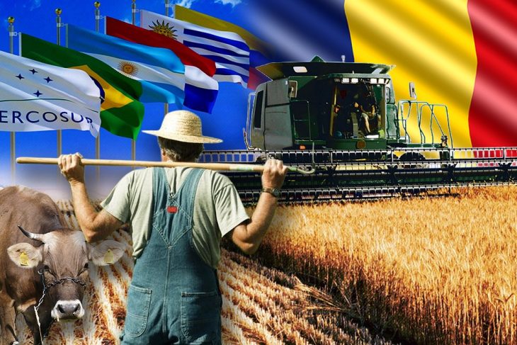 strigatul-unui-fermier-lovit-de-acordul-mercosur:-„este-ceva-politic-impotriva-noastra-si-a-producatorilor-de-hrana”/adrian-mitroi:””