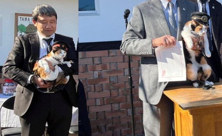 japonia-numeste-o-pisica-sef-de-gara:-yontama-continua-traditia-care-a-salvat-o-linie-feroviara-de-la-faliment