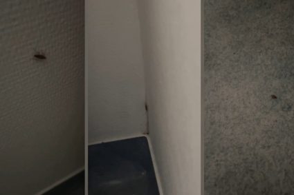 gandaci-filmati-in-sectia-de-pediatrie-a-spitalului-judetean-de-urgenta-slatina.-mama-unui-copil-internat-intr-un-salon-a-facut-publice-imaginile