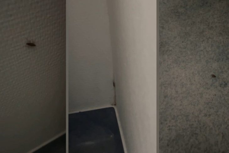 gandaci-filmati-in-sectia-de-pediatrie-a-spitalului-judetean-de-urgenta-slatina.-mama-unui-copil-internat-intr-un-salon-a-facut-publice-imaginile
