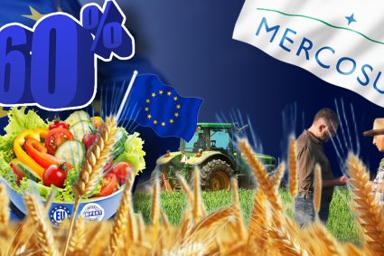 paradoxul-agriculturii-romaniei-in-2026:-suntem-cel-mai-mare-exportator-de-cereale-din-uniunea-europeana