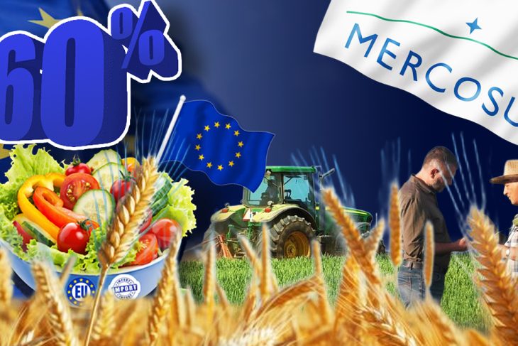 paradoxul-agriculturii-romaniei-in-2026:-suntem-cel-mai-mare-exportator-de-cereale-din-uniunea-europeana
