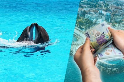 delfinariul-din-constanta,-in-impas.-reprezentatiile-cu-un-singur-delfin-nu-sunt-o-optiune
