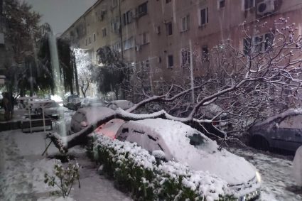 un-creator-de-continut-meteo-vorbeste-despre-explodarea-copacilor-la-temperaturi-foarte-scazute.-cum-dauneaza-arborilor-frigul-extrem