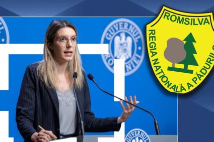 diana-buzoianu-cauta-sef-la-romsilva,-platit-cu-40.000-de-lei,-cu-citate-motivationale:-„reforma-tine-inclusiv-de-curajul-vostru-de-a-candida”