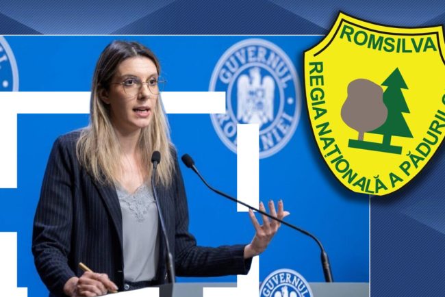 diana-buzoianu-cauta-sef-la-romsilva,-platit-cu-40.000-de-lei,-cu-citate-motivationale:-„reforma-tine-inclusiv-de-curajul-vostru-de-a-candida”