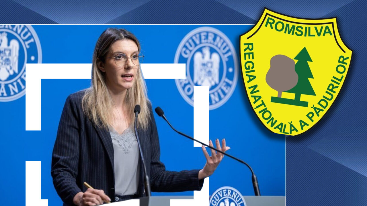 diana-buzoianu-cauta-sef-la-romsilva,-platit-cu-40.000-de-lei,-cu-citate-motivationale:-„reforma-tine-inclusiv-de-curajul-vostru-de-a-candida”