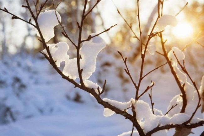 cand-se-incalzeste-vremea,-dupa-noul-val-de-ger:-temperaturile-vor-depasi-10-grade-celsius