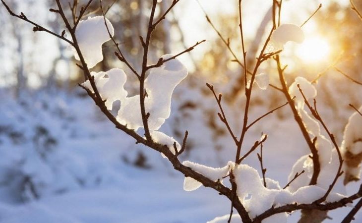 cand-se-incalzeste-vremea,-dupa-noul-val-de-ger:-temperaturile-vor-depasi-10-grade-celsius