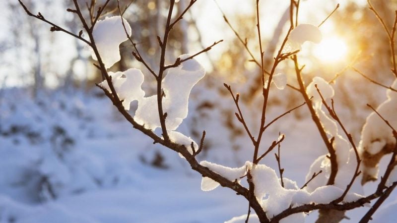 cand-se-incalzeste-vremea,-dupa-noul-val-de-ger:-temperaturile-vor-depasi-10-grade-celsius