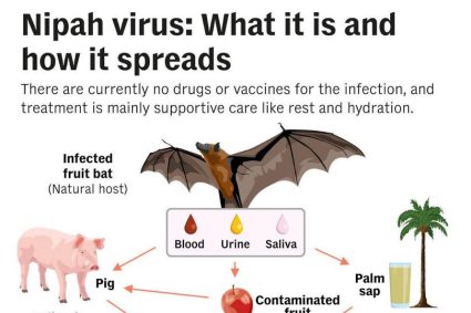 virusul-mortal-nipah,-din-india-si-bangladesh,-sperie-romania-ce-spune-dr.-florin-rosu:-gazda-naturala-a-virusului-este-liliacul-de-fructe