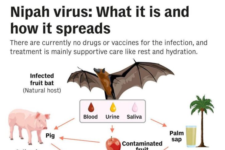virusul-mortal-nipah,-din-india-si-bangladesh,-sperie-romania-ce-spune-dr.-florin-rosu:-gazda-naturala-a-virusului-este-liliacul-de-fructe