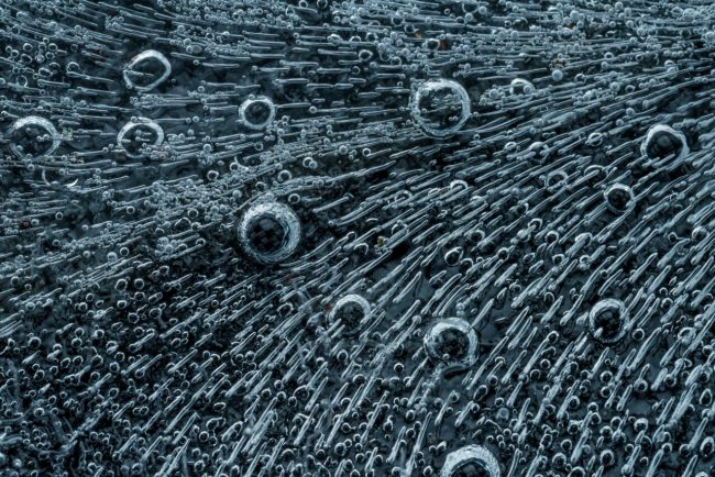 cjue:-statele-membre-pot-interzice-cultivarea-organismelor-modificate-genetic