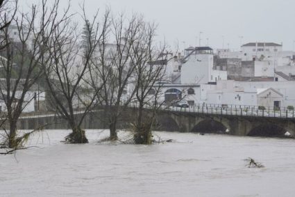 fermierii-anunta-pagube-catastrofale-dupa-ce-furtuna-marta-a-lovit-spania-si-portugalia