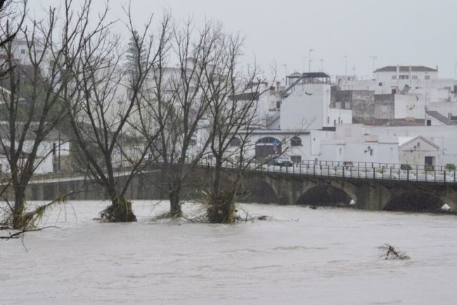 fermierii-anunta-pagube-catastrofale-dupa-ce-furtuna-marta-a-lovit-spania-si-portugalia