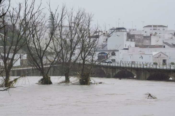 fermierii-anunta-pagube-catastrofale-dupa-ce-furtuna-marta-a-lovit-spania-si-portugalia