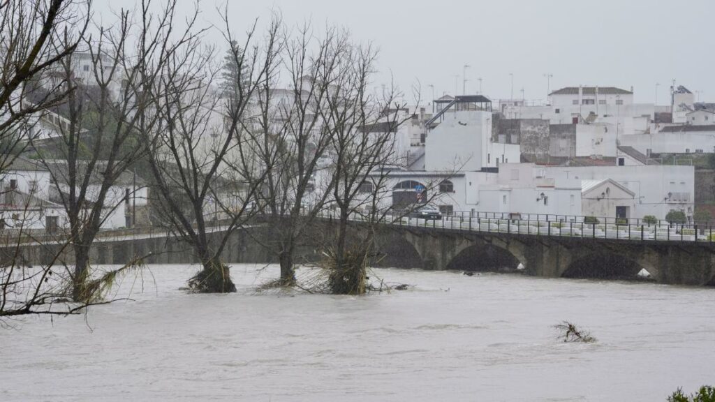 fermierii-anunta-pagube-catastrofale-dupa-ce-furtuna-marta-a-lovit-spania-si-portugalia