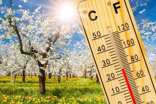 temperaturi-de-primavara-in-weekend.-vremea-se-schimba-radical