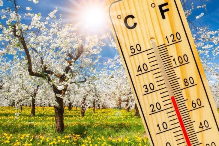 temperaturi-de-primavara-in-weekend.-vremea-se-schimba-radical