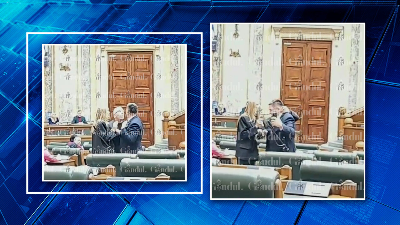 scene-ireale-in-parlamentul-romaniei-un-senator-psd-sare-la-bataie-la-un-parlamentar-pace.-este-implicata-si-victoria-stoiciu-in-scandal