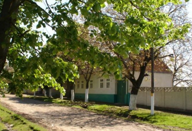 primaria-forotic-din-judetul-caras-severin-n-a-avut-fabuloasa-suma-de-500-de-lei-sa-si-plateasca-internetul-si-a-fost-deconectata
