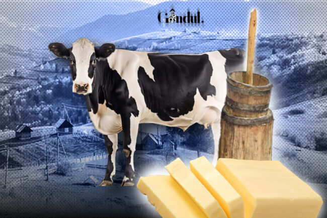cauza-penuriei-de-unt-romanesc-pe-rafturile-magazinelor:-laptele-vacilor-carpatine-nu-este-suficient-de-gras