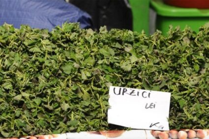 balaria-de-sezon-care-costa-mai-mult-decat-un-coltlet-in-primavara-timpurie.-cum-iti-dai-seama-daca-planta-este-inca-vie